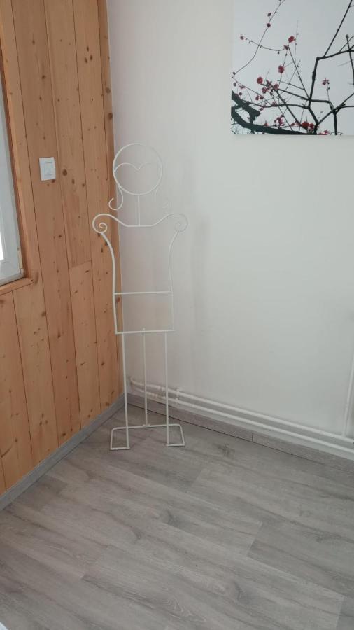 L'Ecrin Des Vosges Apartment Gerardmer Luaran gambar